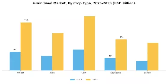 Grain Seed Market  Segment Image 0