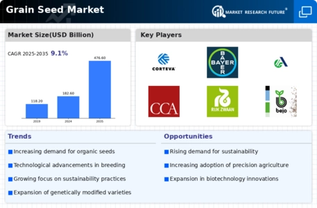 Grain Seed Market  Infographic
