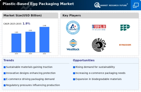 Plastic-Based Egg Packaging Market  Infographic