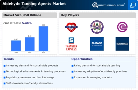 Aldehyde Tanning Agents Market  Infographic