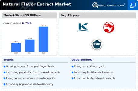 Natural Flavor Extract Market Infographic
