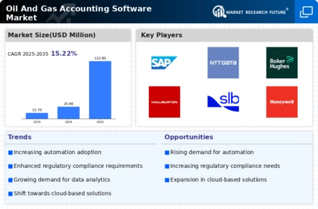 Oil and Gas Accounting Software Market 
 Infographic