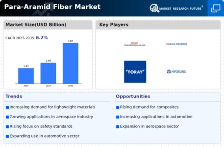 Para Aramid Fiber Market  Infographic