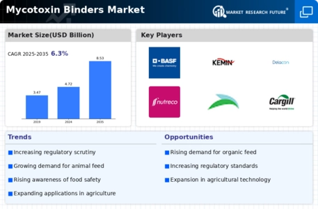 Mycotoxin Binders Market Infographic