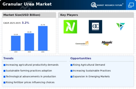 Granular Urea Market Infographic