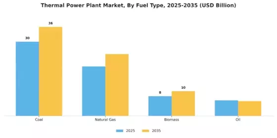 Thermal Power Plant Market Segment Image 0