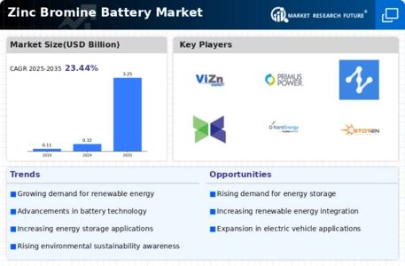 Zinc Bromine Battery Market Infographic
