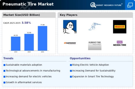 Pneumatic Tire Market Infographic