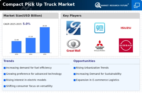 Compact Pick-Up Truck Market Infographic