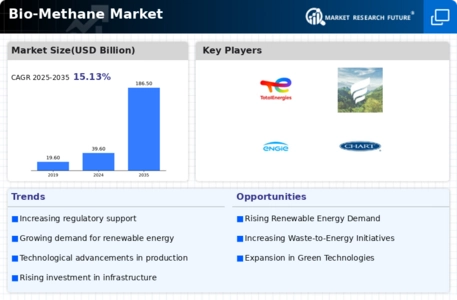 Bio-Methane Market Infographic