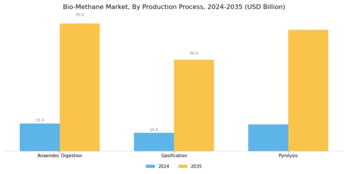Bio-Methane Market Segment Image 0