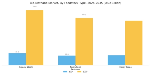 Bio-Methane Market Segment Image 1