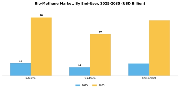 Bio-Methane Market Segment Image 1