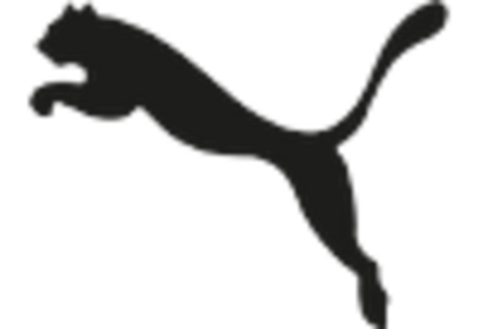 Sports Bras Market key player