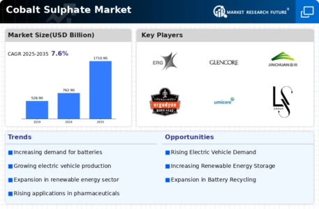 Cobalt Sulphate Market Infographic