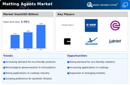 Matting Agents Market Infographic