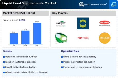Liquid Feed Supplements Market Infographic