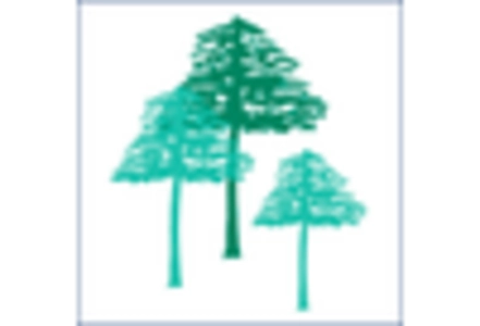 Pine Bark Extract Market key player