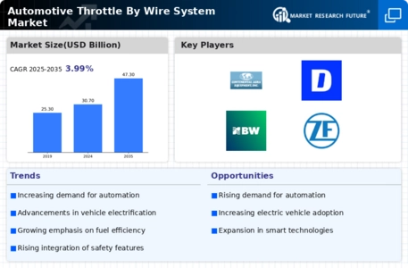 Automotive Throttle By Wire System Market Infographic