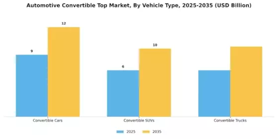 Automotive Convertible Top Market Segment Image 0