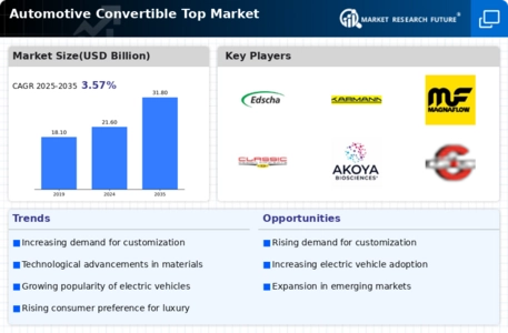 Automotive Convertible Top Market Infographic