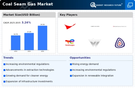 Coal Seam Gas Market Infographic