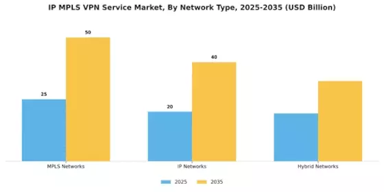 Ip Mpls Vpn Service Market Segment Image 1