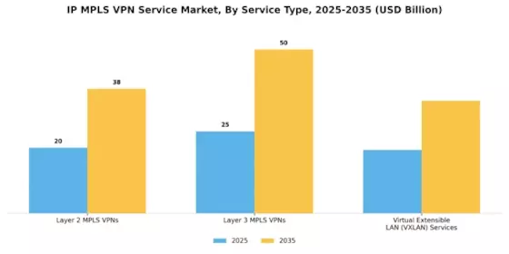 Ip Mpls Vpn Service Market Segment Image 2