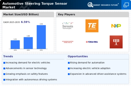 Automotive Steering Torque Sensor Market Infographic
