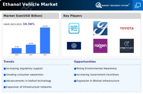 Ethanol Vehicle Market Infographic