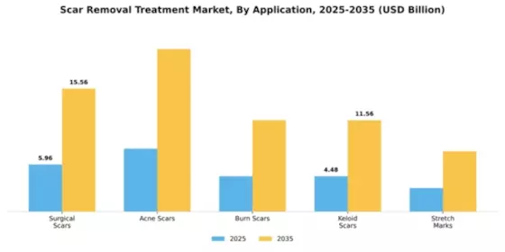 Scar Removal Treatment Market Segment Image 0