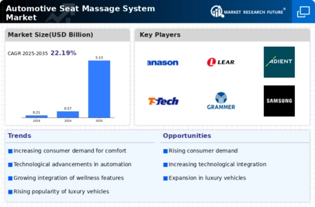 Automotive Seat Massage System Market Infographic