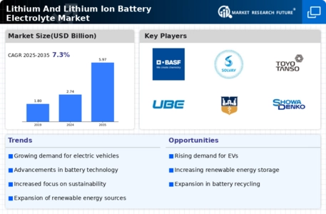 Lithium And Lithium Ion Battery Electrolyte Market Infographic