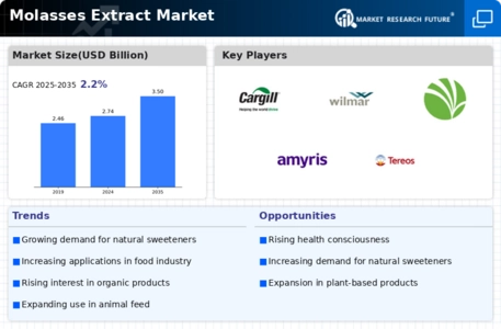 Molasses Extract Market Infographic