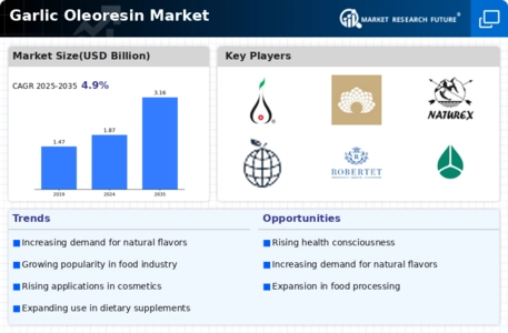 Garlic Oleoresin Market Infographic