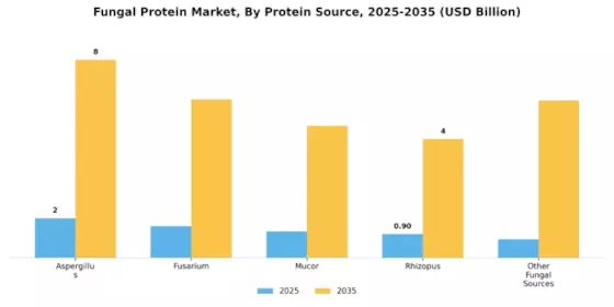 Fungal Protein Market Segment Image 0