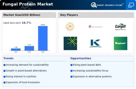 Fungal Protein Market Infographic
