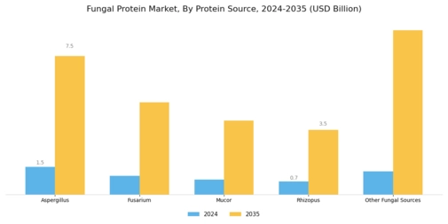 Fungal Protein Market Segment Image 0