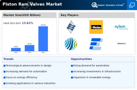 Piston Ram Valves Market Infographic