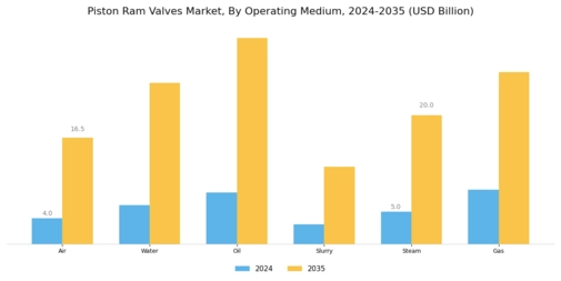 Piston Ram Valves Market Segment Image 3
