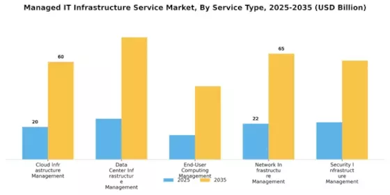 Managed It Infrastructure Service Market Segment Image 0