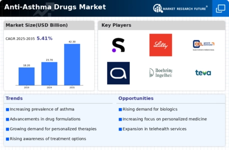 Anti Asthma Drugs Market Infographic