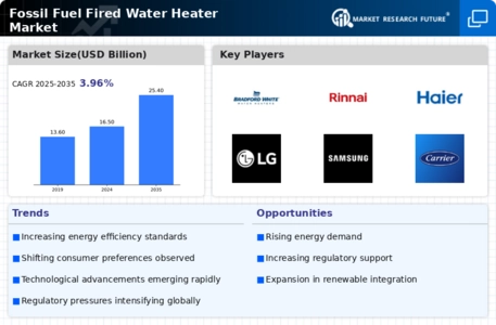 Fossil Fuel Fired Water Heater Market Infographic