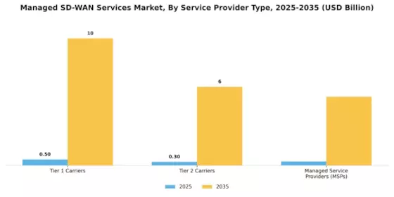 Managed Sd Wan Services Market Segment Image 4