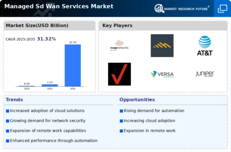 Managed Sd Wan Services Market Infographic