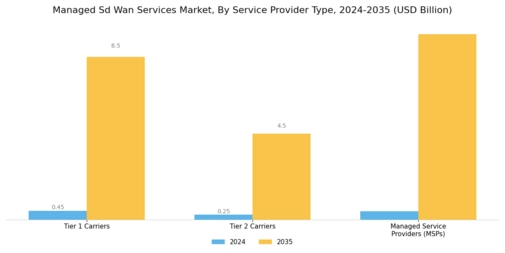 Managed Sd Wan Services Market Segment Image 4