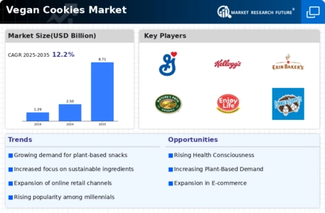 Vegan Cookies Market Infographic