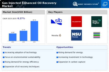 Gas Injected Enhanced Oil Recovery Market Infographic