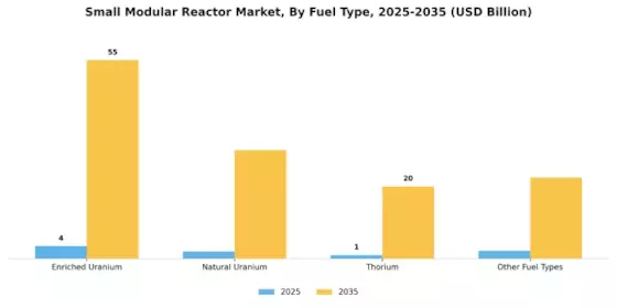 Small Modular Reactor Market Segment Image 3