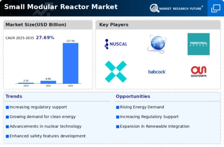 Small Modular Reactor Market Infographic